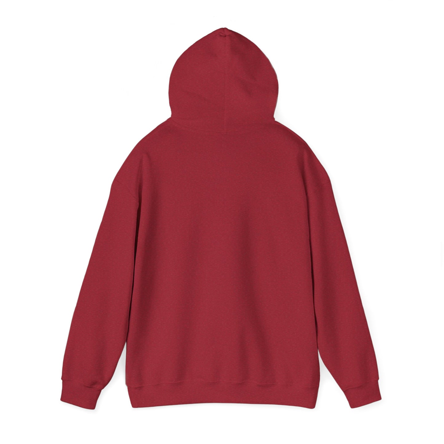 Colorful Butterfly Hoodie – Unisex Pullover with Vibrant Symbolic Art