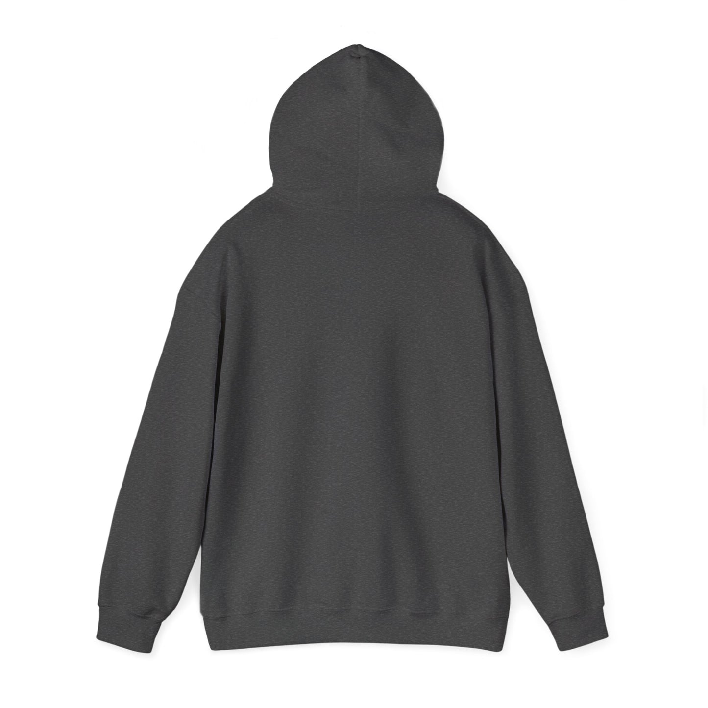 Colorful Butterfly Hoodie – Unisex Pullover with Vibrant Symbolic Art