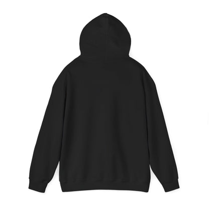 Butterfly Psychedelic Hoodie — Colorful Retro Moth Graphic Pullover
