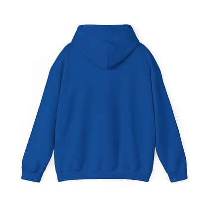 Butterfly Psychedelic Hoodie — Colorful Retro Moth Graphic Pullover