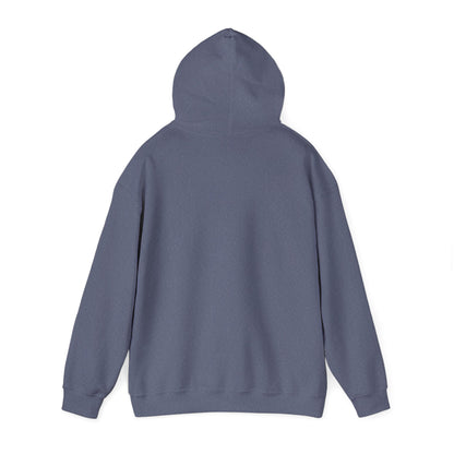 Colorful Butterfly Hoodie – Unisex Pullover with Vibrant Symbolic Art