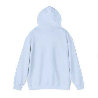 Butterfly Psychedelic Hoodie — Colorful Retro Moth Graphic Pullover