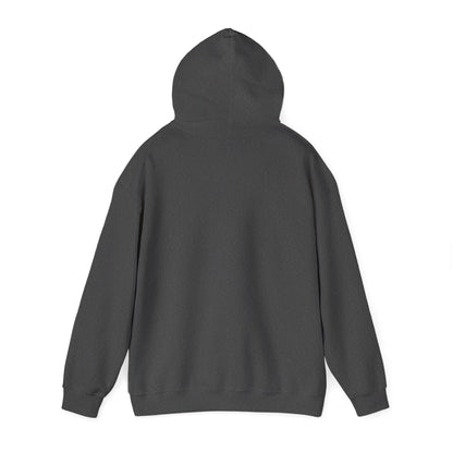Colorful Butterfly Hoodie – Unisex Pullover with Vibrant Symbolic Art