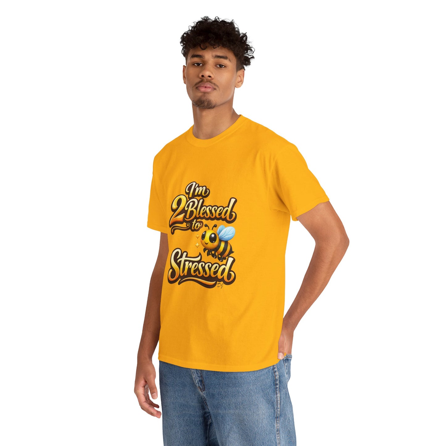 I'm 2 Blessed 2 Be Stressed Graphic Tee - Funny Inspirational Christian Shirt
